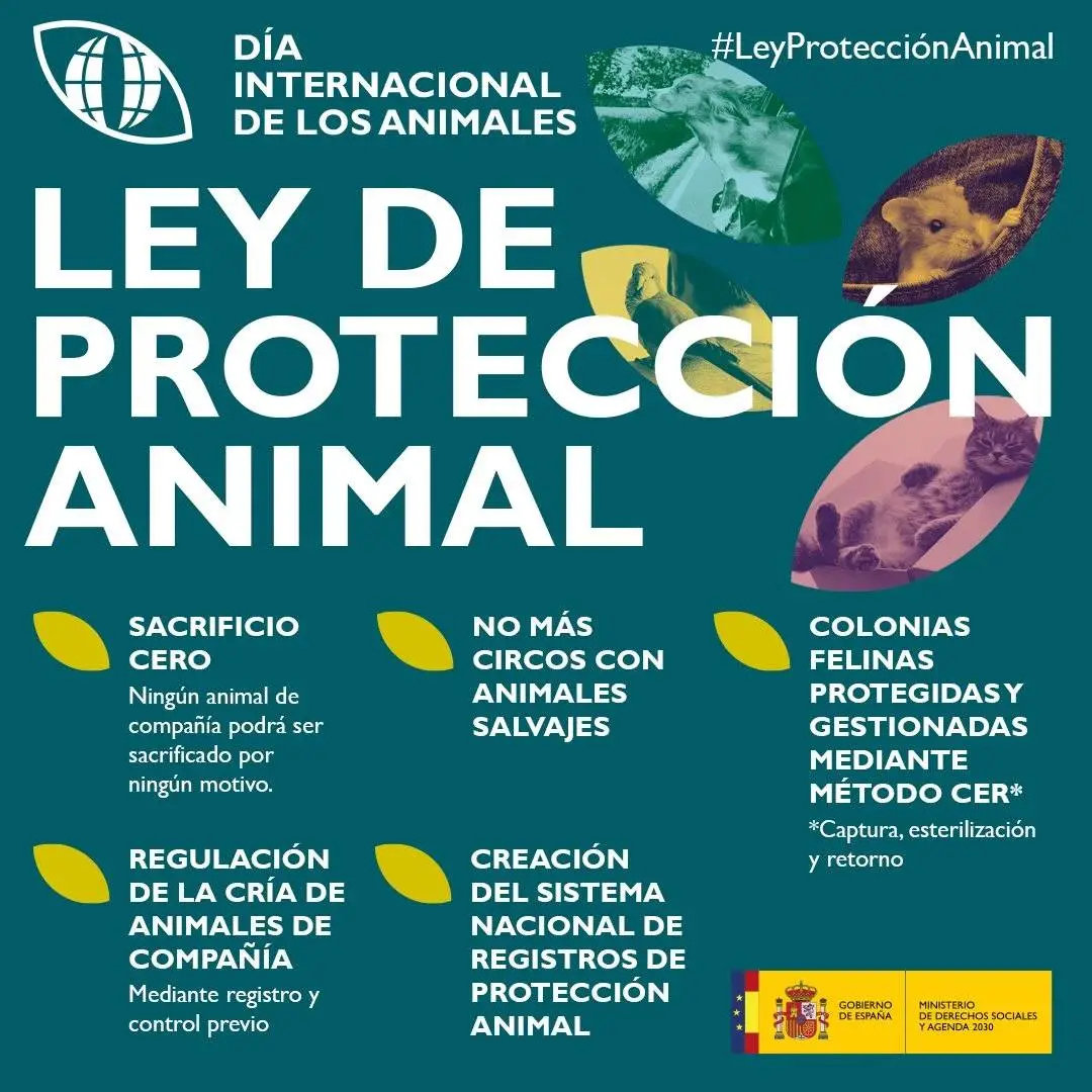 cartel ley de protección y bienestar animal